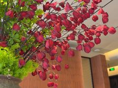 -千百味红餐厅·非遗江西菜(绿地双子塔总店)