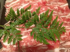 -盡膳口福跷脚牛肉火锅(晶耀前滩店)