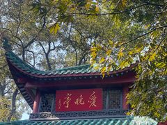 -岳麓山风景名胜区