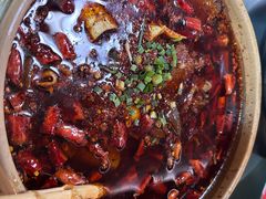 -青城甲(青城山店)