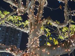 -好彩海鲜酒家(帝国中心店)