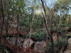-大岭沟猕猴桃谷风景区