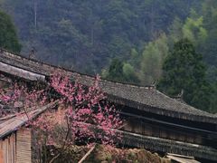 -MOJ coffee(瓯海泽雅水碓坑店)