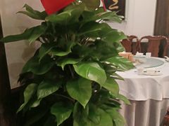 -龙抄手食府(浣花北路店)