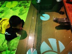 -北京科学中心儿童乐园