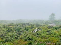 -终南山国家森林公园