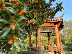-庐山风景名胜区-东林大佛