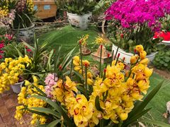 -北京稻香村(五道口店)