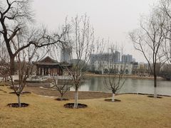 -西海子公园