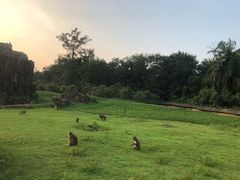 -海南热带野生动植物园