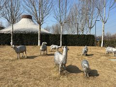 -九十九顶毡房(阜石路店)