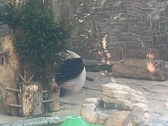 -黔灵山公园