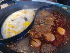 -新辣道鱼火锅(西直门店)