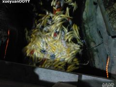 Photo-0213-绿色时代大酒店