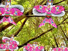 -南湖梦幻岛