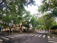-八大关景区