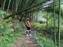 -四明山国家森林公园