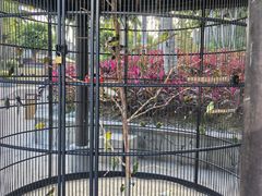 -海南清水湾莱佛士酒店