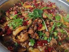 -食神又名厕所兔