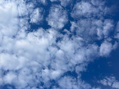 -老绥元烧麦·家常菜(体育场店)