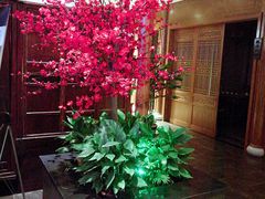 -碧露轩·大益茶体验馆(镇江路店)