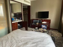 -常州环球恐龙城维景国际大酒店