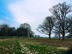 -海德公园