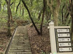 -广州市帽峰山景区