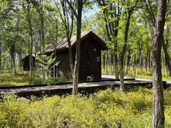 -西青郊野公园