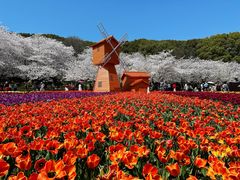 -苏州上方山国家森林公园
