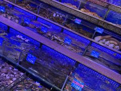 -青蓬蒸汽海鲜·深圳老字号·团建聚会(壹方城店)