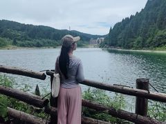 -武陵山森林公园