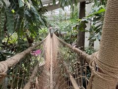 -正佳雨林生态植物园