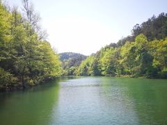 -青龙山国家森林公园