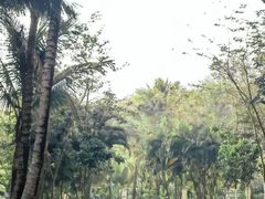 -中国科学院西双版纳热带植物园