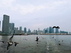 -九龙餐厅(大沽路店)