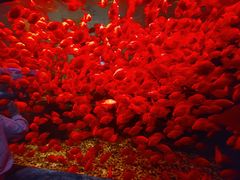 -多彩贵州城极地海洋世界