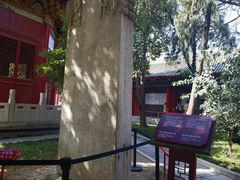 -西安碑林博物馆