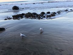-摩拉基大圆石