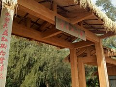 -北海金海湾红树林生态旅游区