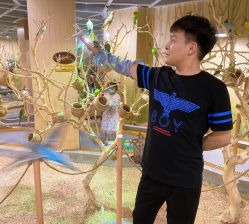 点击看大图 -七巧国萌宠乐园(龙湖天街店)