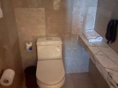 -上海龙之梦万丽酒店