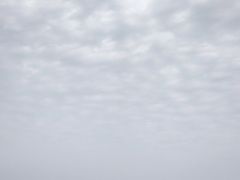 -武汉知音号