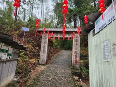 -九龙江国家森林公园