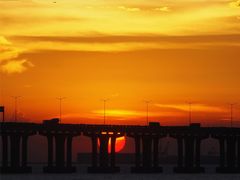 -宝安西湾红树林湿地公园