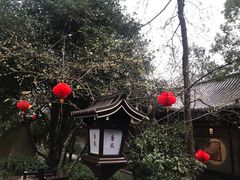 -唐风温泉