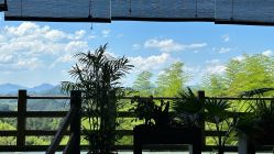 -专注孕妇照亲子照·纪田摄影