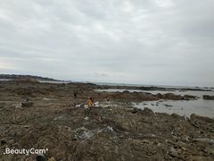 -青岛第二海水浴场