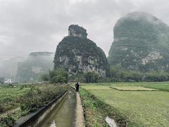 -明仕田园