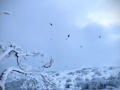 -秦岭风景区